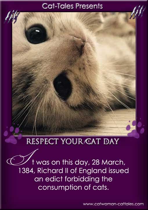respect your cat day